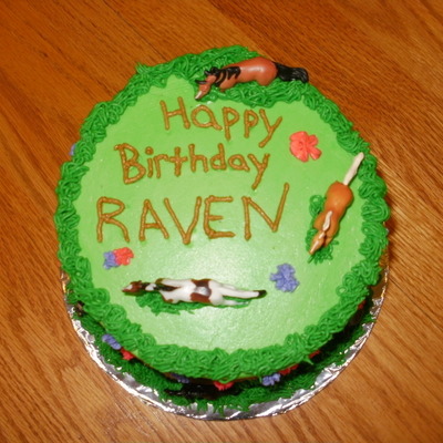 Raven's 11Th Birthday Cake