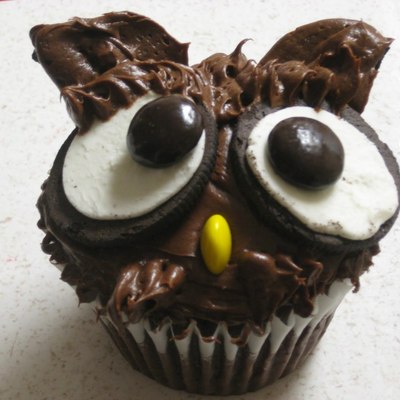 My Little Choclate Owl!