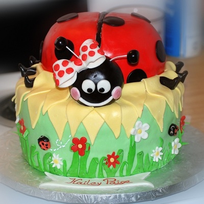 Ladybug