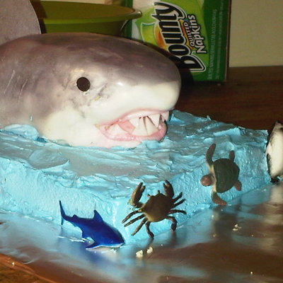 Shark