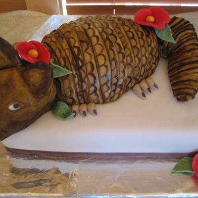 Armadillo Grooms Cake