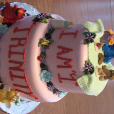 Cookie Monster And Elmo Cake For First Birthday.