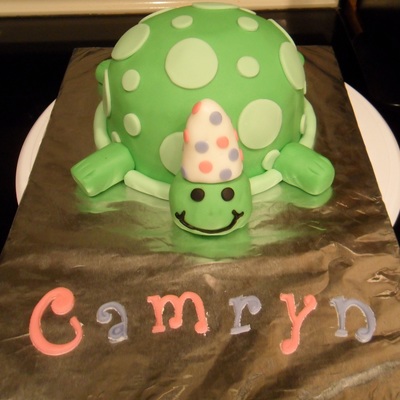 Turtle Cake