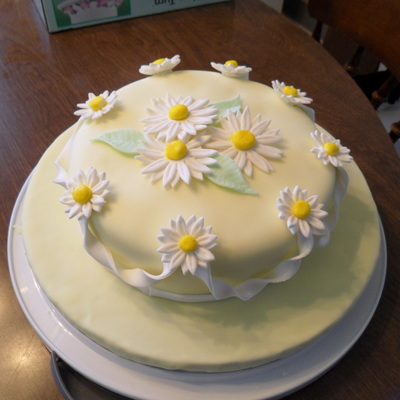 Wilton Class Final Cake