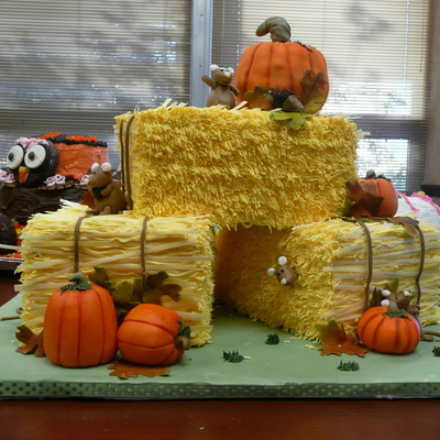 A Day At The Pumpkin Patch