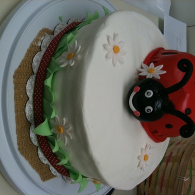 Lady Bug