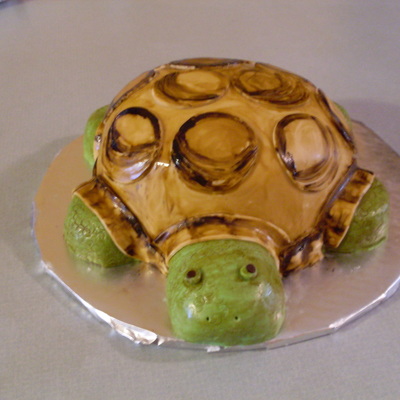Turtle Cake