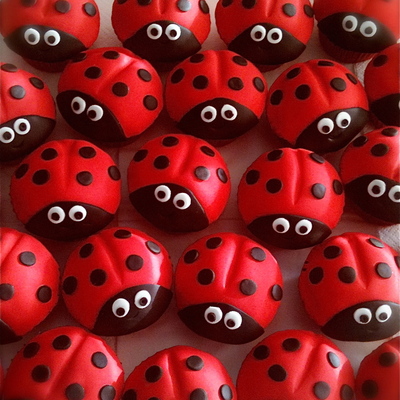 Ladybird Party