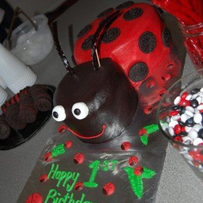 Ladybug Birthday Cake!