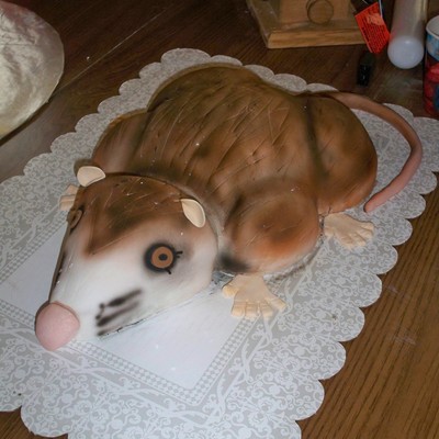 Possum