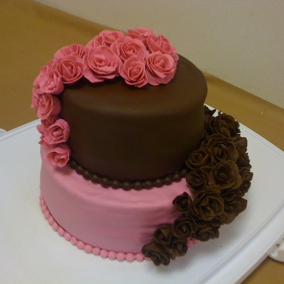 Wilton Course 3 Final Cake