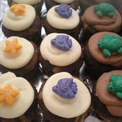 Sea Life Cupcakes