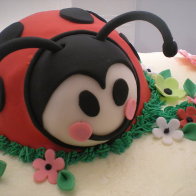 Ladybug And Flowers