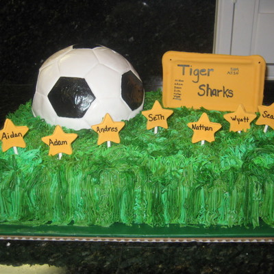 Soccer Ball Cake
