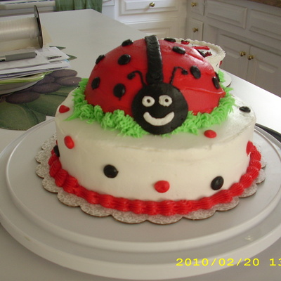 Ladybug Cake