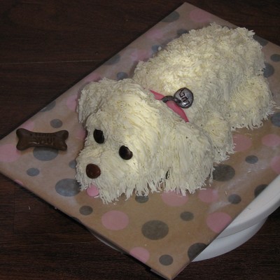 Little White Dog