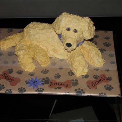 Yellow Lab