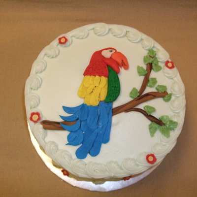 Happy Birthday Parrot Head!