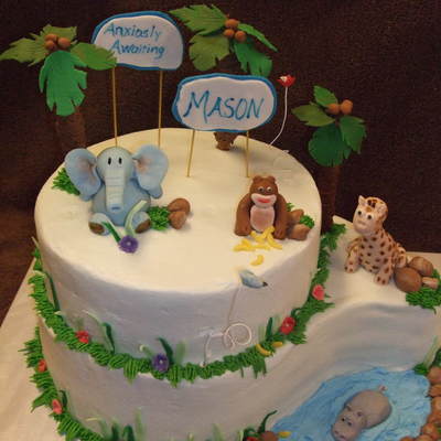 Jungle Themed Baby Shower