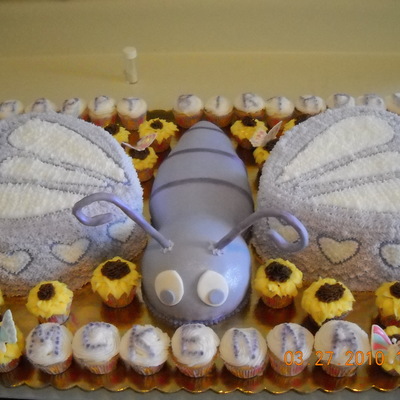 Butterfly Cake