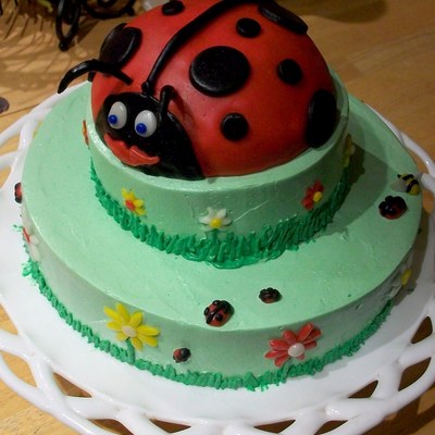Ladybug Birthday Cake