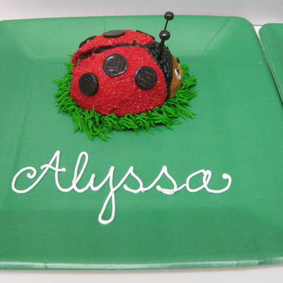 Ladybug Smash Cake
