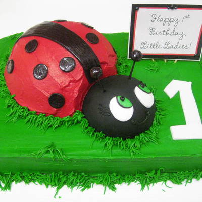 3D Ladybug 1St Birthday Cake