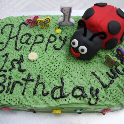 Lucy Ladybug