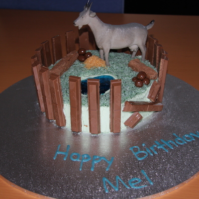 Shannon The Goat In His Pen