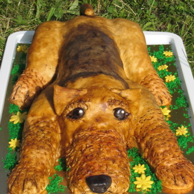 Airedale Terrier