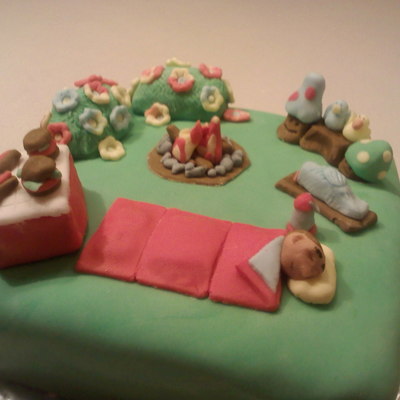Camping Cake