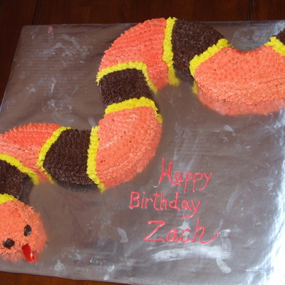 Snake Cake