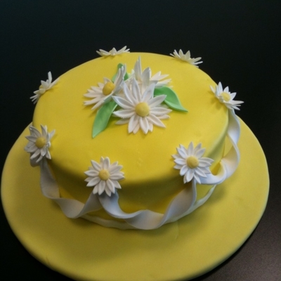 1St Fondant Cake!