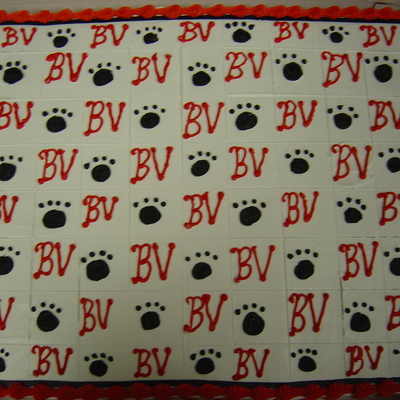 Brandon Valley High School Lynx