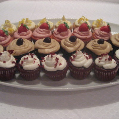 Assorted Mini Cupcakes