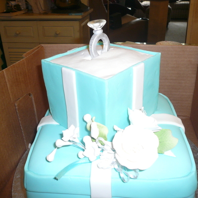 Tiffany Cake/ Mini Cakes