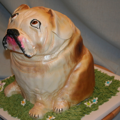 Bulldog