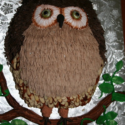 Owl