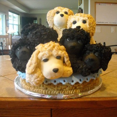 Basket Of Puppies