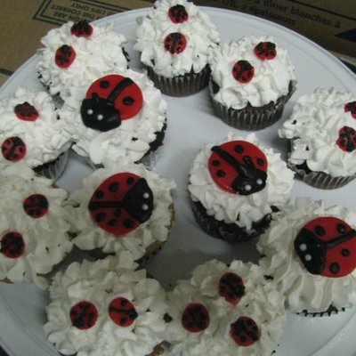 Ladybug Cupcakes