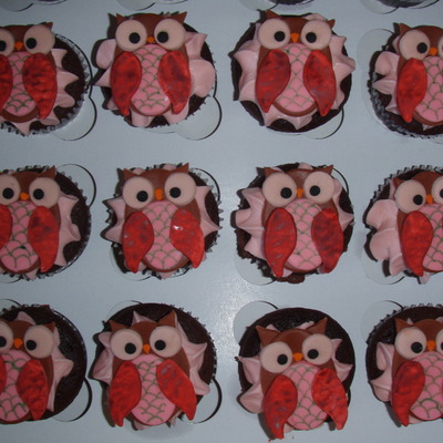 Owl Cupcakes