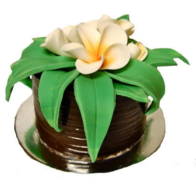 Frangipani Cake