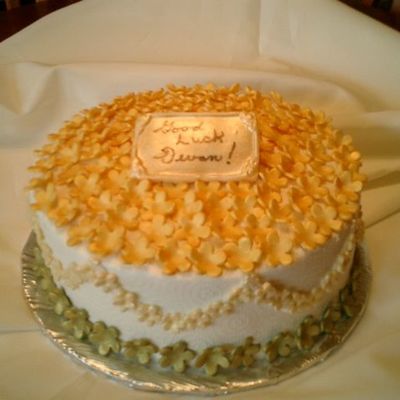 Golden Hydrangia