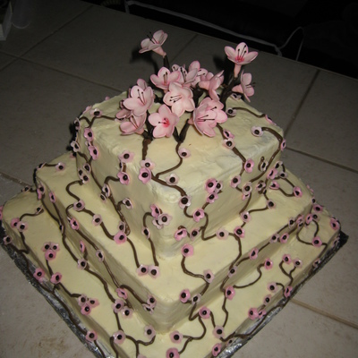 Cherry Blossom