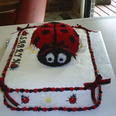 Ladybug Cake
