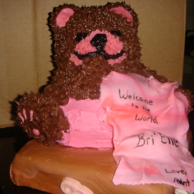 Teddy Bear Wit Blanket