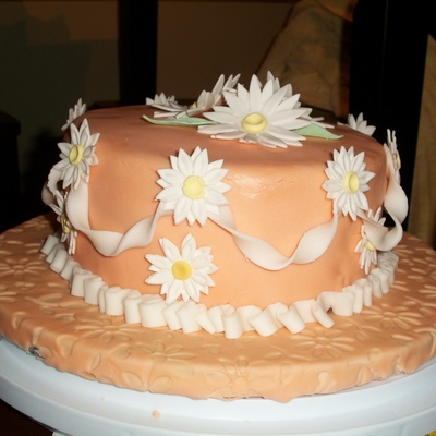 Wilton Class Cake