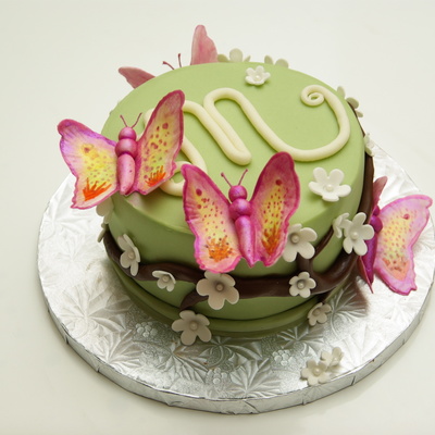 Butterfly Cake