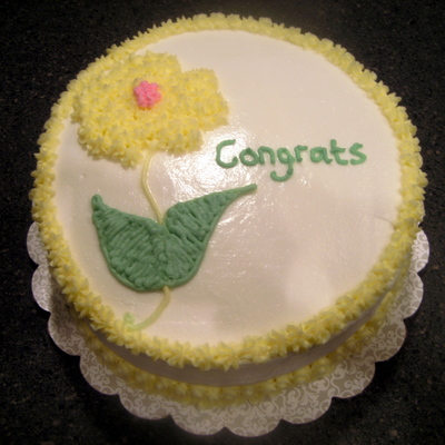 My First Cake At Wilton 1
