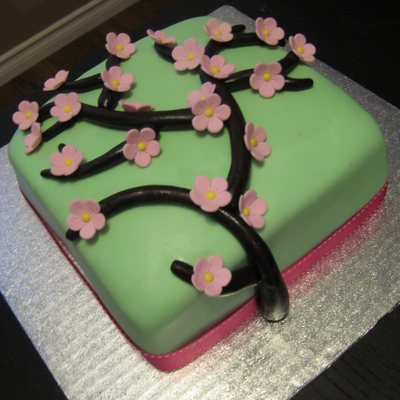 Cherry Blossom Cake